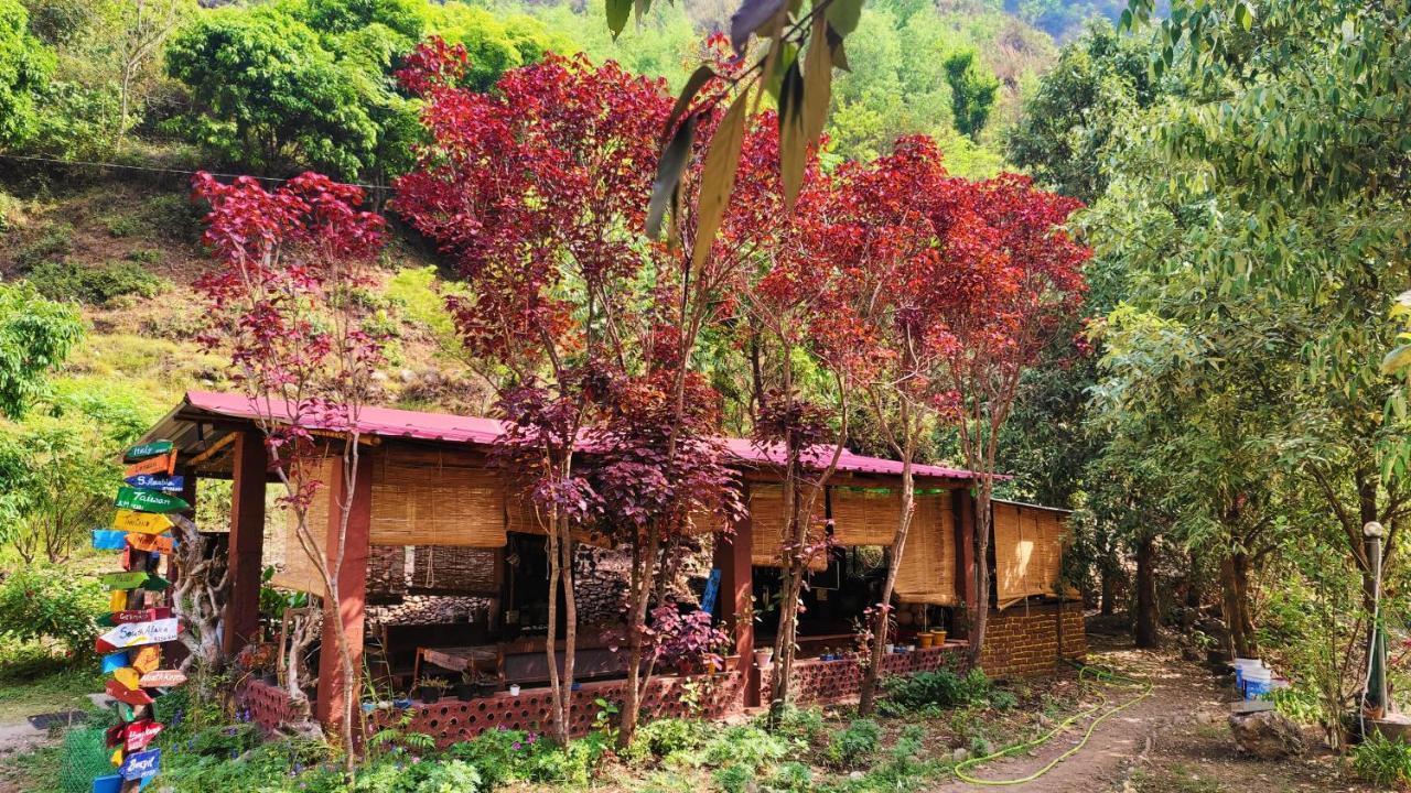 Hobo Huts By The Riverside Panuanaula Экстерьер фото