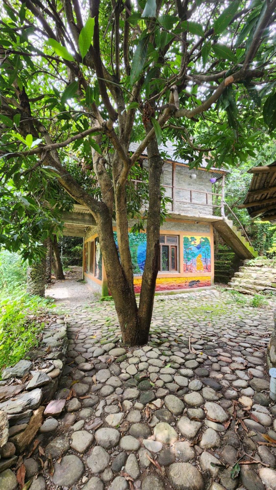 Hobo Huts By The Riverside Panuanaula Экстерьер фото